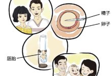 為什麼做試管嬰兒前要篩查甲狀腺功能?-酷播亮新聞