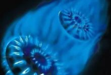 裝修7大盲點，千萬要注意了！-酷播亮新聞