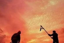 【攝影理論】什麼是色彩基調？色彩基調在照片中的作用-酷播亮新聞