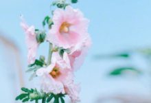 雖然很富裕，但是依然十分摳門的星座-酷播亮新聞