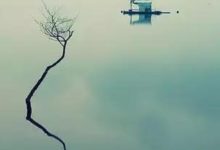 有幾人知道象徵男士身份的「標配」之物，原來有著這樣的歷史由來-酷播亮新聞