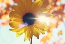 五福到，財臨門，再窮也能富的生肖-酷播亮新聞