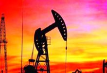 石油可以被種植？中國這一黑科技或使石油未來像自來水一樣便宜-酷播亮新聞