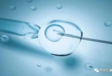 子宮內膜過薄，做試管嬰兒到底行不行？醫生：不是不可能！-酷播亮新聞