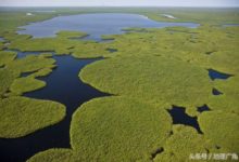 世界最大濕地之一東非薩德濕地-酷播亮新聞