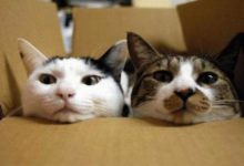 你是什麼血型，就是什麼脾氣，簡直太准啦！-酷播亮新聞