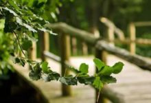 10月2號起，人品爆發，大富大貴擋不住，喜多財多鈔票多的生肖-酷播亮新聞