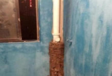 鄰居家的下水管包的真特別，我還是頭一次看到，很值得借鑒-酷播亮新聞