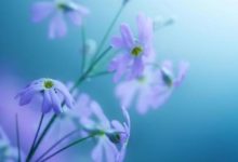 做事有嚴重拖延症，火燒眉毛了才會著急的生肖！-酷播亮新聞