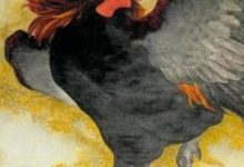 12生肖誰的脾氣最大，男如雷公，女似電母，但個個財大氣粗！-酷播亮新聞