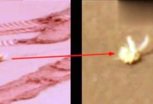 是什麼纏住了火星探測器？發回的照片令NASA三緘其口-酷播亮新聞