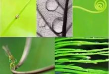 你與構圖高手只有一「線」之隔，掌控線條就能掌控畫面！-酷播亮新聞