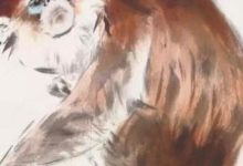 這4屬相10月逃不出「生財大運」：財神保，財星照，財運好！-酷播亮新聞