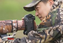 在拍鳥中實現自我 攝影師童雪峰的生態視界-酷播亮新聞