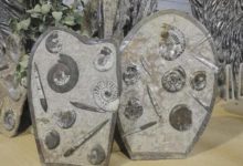 科學家怎麼能推測出發生在幾十億年前的事？-酷播亮新聞