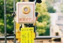 10月29號生肖運勢早知道-酷播亮新聞