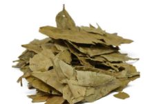 這種葉子拿來泡水喝，對付乳腺增生有奇效，女人都應該試試！-酷播亮新聞