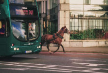 世界最大型攝影比賽入圍作品賞，第一張就驚豔了-酷播亮新聞