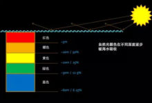 潛水攝影入門，如何拍出鮮豔的水攝照片？-酷播亮新聞