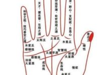 掌紋中哪些是富貴紋-酷播亮新聞