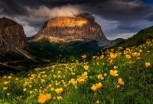 6個小建議，從此告別攝影中的「一頭沉」！-酷播亮新聞