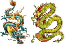 12生肖2019年運勢搶先看！-酷播亮新聞