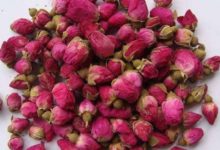 玫瑰花善治乳腺增生、子宮肌瘤，但這類女性盡量少喝，最好不喝！-酷播亮新聞