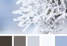 清新淡雅的配色方案！-酷播亮新聞