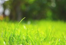 11月事業如步青雲，愛情順利，坐享財富進門，生活富裕享受的星座-酷播亮新聞