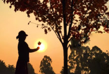 【手機攝影高階班】第1課：都說冬天剪影美，拍不出來我教你修出來！-酷播亮新聞