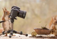 攝影，需要自虐纔會有突破！-酷播亮新聞