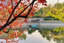 手機如何拍出虛化背景？試試4招，虛實分明！-酷播亮新聞