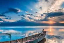 小夫妻遠離塵世喧囂 打造出令人向往的“多肉天堂”-酷播亮新聞