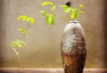 同樣是玩泥巴，他玩出了自然的味道……-酷播亮新聞