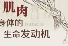 長點肌肉抗衰老！一份「全年齡增肌」指南，總有一款適合你-酷播亮新聞