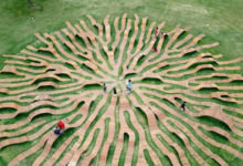 這個看起來像“大珊瑚”的東西，其實是桌椅板凳-酷播亮新聞