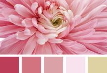 色彩參考 實物配色方案-酷播亮新聞