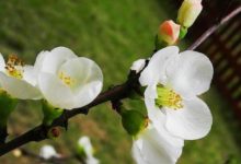 有情緣的男女，能不能在一起結婚就看明年的-酷播亮新聞