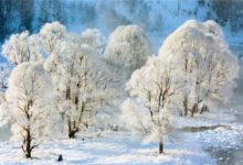 千山暮雪興安嶺 冰清玉潔阿爾山-酷播亮新聞