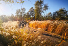 秋天景色千千萬 ，這裏畫卷最驚豔！-酷播亮新聞