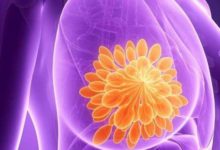 天然「黃體酮」被發現了，女人經常吃一點，乳腺越來越健康-酷播亮新聞