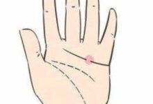 手相圖解：首婚不成功的手相-酷播亮新聞