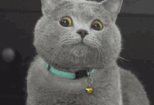 只因這樣運動，16歲少女卵巢破裂，流了一肚子血……-酷播亮新聞