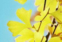 玩轉雙十一​ 佳能​微單金秋選購指南-酷播亮新聞