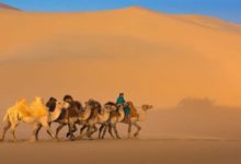 斥巨資在沙漠中打造這個項目，想給地球「降降溫」？-酷播亮新聞