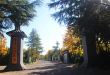 喜迎明珠十​週年活動​：關於舉辦秋之韻•大美明珠園攝影比賽的通知-酷播亮新聞