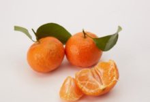 沙糖桔和蜜桔的區別 吃了上火嗎-酷播亮新聞