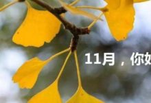 11月每日吉凶提前報-酷播亮新聞