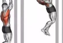 16個經典的背部訓練動作!-酷播亮新聞