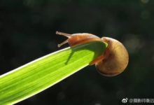 針對攝影小白的單反設定小技巧-酷播亮新聞